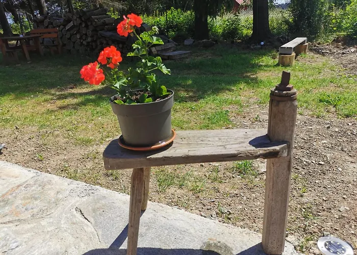 Vakantiehuis Ujo *